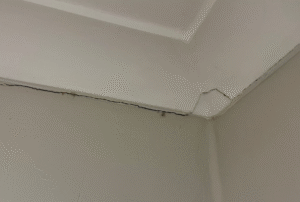 tran-nha-nut-goc-co-nguy-hiem-khong